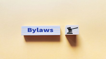 A block with the word Bylaws on it next to a block with a gavel on it.