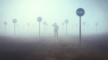 Man standing in a foggy field dotted with directional signs.