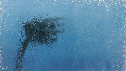 A palm tree in a hurricane seen through a window.